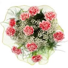 Customs takes things seriously when you fly into *some* airports. Mexico City Carnival Of Carnations Bouquet Flower Delivery Carnival Of Carnations Bouquet Flower Delivery Mexico City Online Florist Mexico City