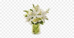 We did not find results for: Small Bouquet Of Lilies In A Vase Classic All White Arrangement For Sympathy Flowers Free Transparent Png Clipart Images Download