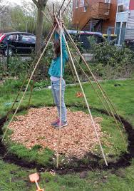 Wir Bauen Ein Bohnentipi Bohne Garten Pflanzen Gartenzelt