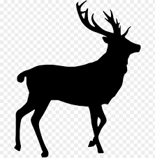 Maybe you would like to learn more about one of these? Stag Silhouette At Getdrawings Moose Transparent Background Png Image With Transparent Background Toppng