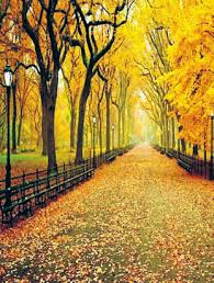 Students restore grave