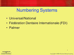 14 Dental Charting Ppt Video Online Download