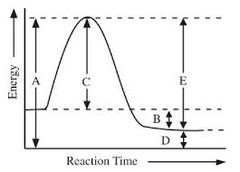 The activated complex is the complex that exists as the bonds in the products are forming and the bonds in the reactants are breaking. Energy Of The Activated Complex Is Represented By