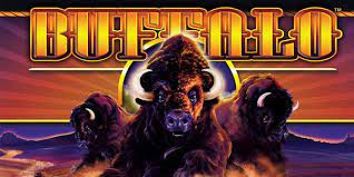 I've seen them in vegas, new york, and california, and i have heard from other casino aficionados that they are popular in most major casinos. Buffalo Slot Machine Play Buffalo Slots Free Real Online
