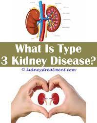 Pin On What Is Kidney Disease