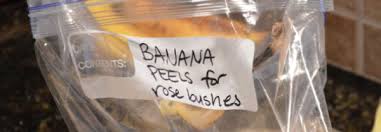 Right on the bag it says that you can sprinkle 2 tbsp. Homemade Fertilizers 15 Simple And Inexpensive Options The Grow Network