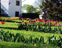 Maybe you would like to learn more about one of these? 10 Lucruri Interesante Despre GrÄƒdina BotanicÄƒ Din Cluj Napoca Buna Dimineata