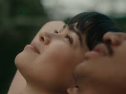 ‌, ‘Nap Nap’ short film directed by Sam Templeton is now live