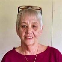 Linda Susan Williams Obituary (2025)