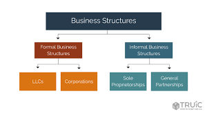 Business Structure How To Choose A Business Structure Truic