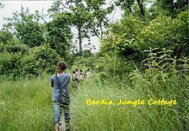 Yet i didn't have much idea on what exactly i should do. Foot Walking An Exciting Way To Explore The Wildlife Closely Touch Yourself Wildlife Picture Of Bardia Jungle Cottage Bardia National Park Tripadvisor