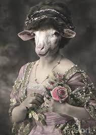 Royal Miss Sheep Human Body Animal Head Portrait Greeting Card For Sale By Jolanta Meskauskiene Animal Heads Human Body Art Portrait Art