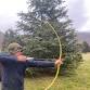 Build your own bow workshop: March 5-8th   —... event in Weaverville, NC