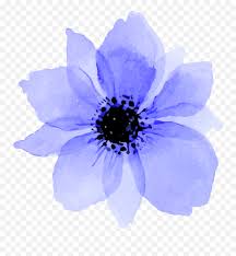 This gorgeous purple perennial is one of the few that blooms in the fall. Download Blue Purple Flowers Flower Watercolor Flower Png Flowers Transparent Tumblr Free Transparent Png Images Pngaaa Com