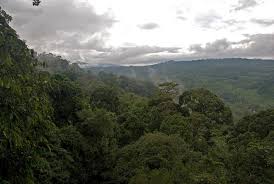 Bujang valley kedah, perak man, perak, melaka, historical city. Unesco World Heritage Sites In Malaysia