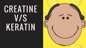 Can creatine actually cause hair loss? Can Creatine Cause Hair Loss Steemit