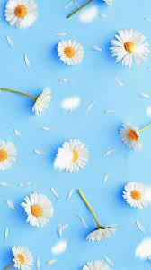 We did not find results for: Ø§ÙŠØ¨Ø§Ø¯ Ø§Ø¬Ù…Ù„ Ø®Ù„ÙÙŠØ§Øª Ø§ÙŠÙÙˆÙ† Ø§ÙŠØ¨Ø§Ø¯ Ø®Ù„ÙÙŠØ§Øª ÙƒÙŠÙˆØª Yulia Blog