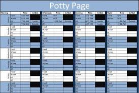 easy to use potty schedule helps you get control of your