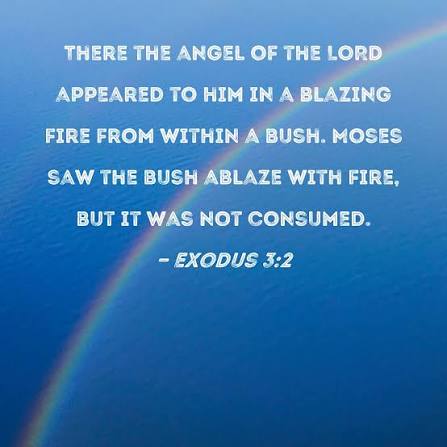 Exodus 3:2 There the angel of the LORD appeared to him in a ...save the world ministry
