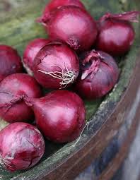 Chou Rouge Essayez Les Legumes Violets Elle A Table Photos De Fruits Et Legumes Idee Legume Fruits Et Legumes