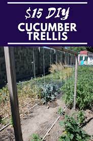 Specially cucumbers, we love them at my house. Simple Cucumber Trellis For Only 15 Our Stoney Acres