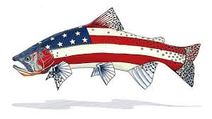 American Flag Trout Fish Illustration Fish Art Art Basics