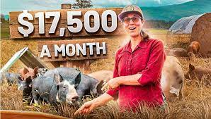 How To Start A $188K/Year Pig Farm Business (2022) - Upflip