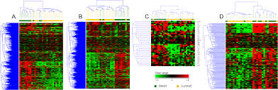 There are many â patterns of failureâ for end stage bladder cancer. Naturally Occurring Canine Invasive Urothelial Carcinoma Harbors Luminal And Basal Transcriptional Subtypes Found In Human Muscle Invasive Bladder Cancer