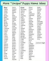 Your powerful pup will love these intense names! You Can Now Pay A Company 32 000 To Give Your Baby A Unique Name Puppy Names Unique Girl Dog Names Puppy Names