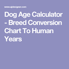 dog age calculator breed conversion chart to human years