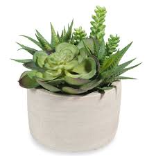 Pot De Succulentes Artificielles Plantes Grasses Artificielles Deco Nature Maison Du Monde