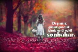 Mevsimlerle Ilgili Sozler Sonbahar Guzel Soz Ilham