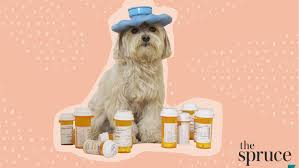 If your veterinarian thinks you are already giving your pet a fully. The 6 Best Places To Buy Pet Medication Online In 2021