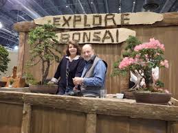 Many bonsai growers in the world have been intrigued and fascinated by. Bonsai Trees Outdoor Bonsai New Hope Pa Rosade Bonsai