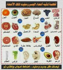 للغذاء اهمية كبيرة في حياتنا حيث يحصل... - قسم الأحياء كلية التربية مصراتة  | Facebook