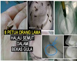 Stres kalau rumah banyak semut ni. Inilah 8 Petua Orang Lama Untuk Halau Semut Dalam Bekas Gula My Info Maya