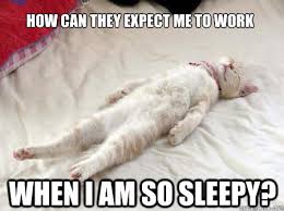 How Can They Expect Me To Work When I Am So Sleepy Sleepy Quickmeme