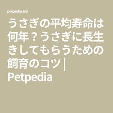 うさぎの平均寿命は何年 うさぎに長生きしてもらうための飼育のコツ petpedia 長生き うさぎ して