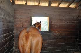Check spelling or type a new query. Design A Better Horse Stall Horse Journals