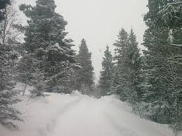 Therese johaug har lurt oss i alle år. Ski And Paddle Norway 2009 Blog Archive Day 50 Vingelen To Dalsbygda