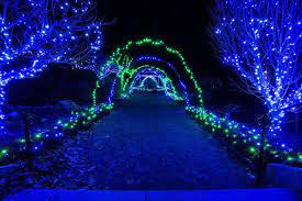 Rich Blanchard On Instagram Gardens Of Light Tower Hill Botanical Garden Christmaslights Tower Hill Botanical Garden Garden Of Lights Night Photography