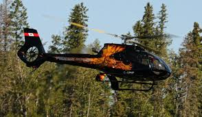 Image result for Brown 2022 Fleet