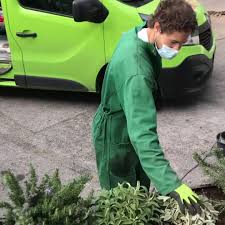 Lidl riva fiori domani : I Ey6x42m7zsm