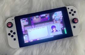 Spent My Day Modding Stardew Valley On My Switch Stardewvalley