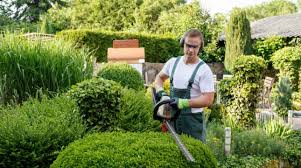 Over 20,000 businesses, properties, franchises, and new london county, ct landscaping, lawn care and tree services $300,000 new listing. Landscaper Licensing Requirements By State 2021 A Full Guide