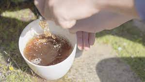You may find other ratios are more suited to your needs. How To Make Worm Tea The All Natural Boost Juice For Plants