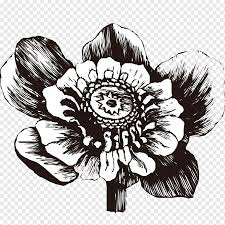 Maybe you would like to learn more about one of these? Black And White Flower Drawing Cut Flowers Cartoon Black And White Plant Visual Arts Drawing Cut Flowers Cartoon Png Pngwing
