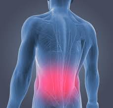 So how can i build leg muscle during a ride? Lower Back Pain Relief Causes Dr Scholl S