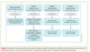 Treatment Of Hypertension Part 2 Of Links To And Excerpts From The 2018 European Guidelines For The Management Of Hypertension Tom Wade Md