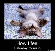 Saturday is the most awaiting day in week because it's the best day to do everything you want and it is the perfect day to make the world your oyster. Happy Saturday Quotes Funny Quotesgram
